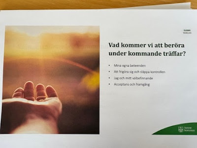 Anhörigstöd utifrån Craft