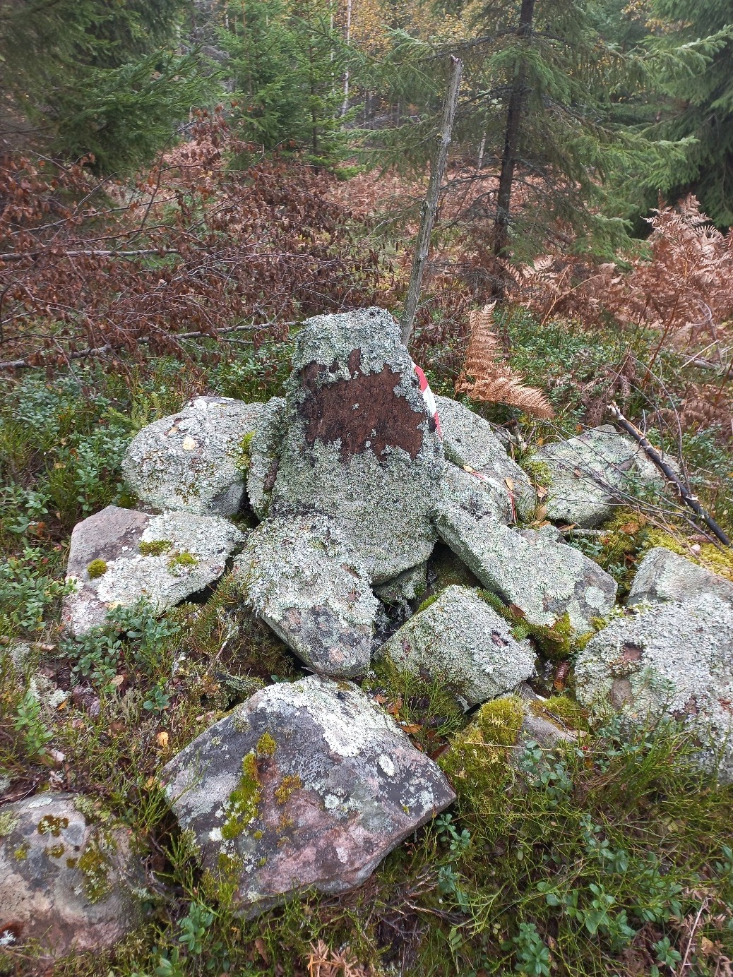 Fastighetsgränser